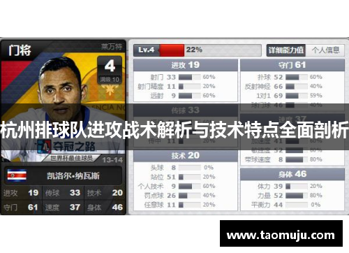 杭州排球队进攻战术解析与技术特点全面剖析