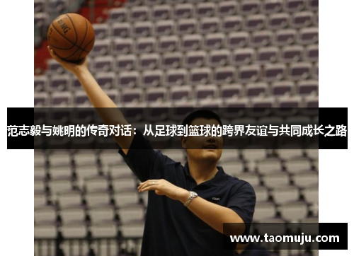 范志毅与姚明的传奇对话：从足球到篮球的跨界友谊与共同成长之路