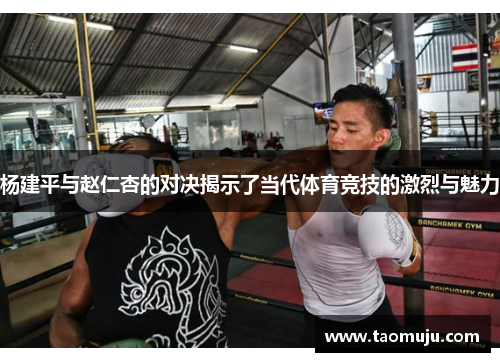 杨建平与赵仁杏的对决揭示了当代体育竞技的激烈与魅力
