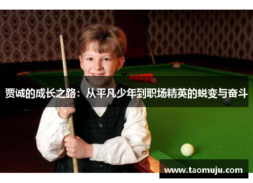 贾诚的成长之路：从平凡少年到职场精英的蜕变与奋斗
